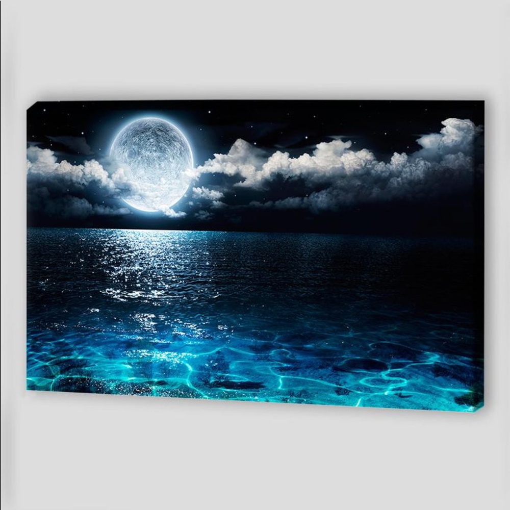 Moon art canvas wall decor